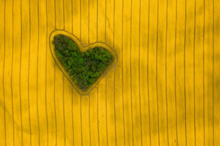 Jeremiasz Gądek: Island of Love 