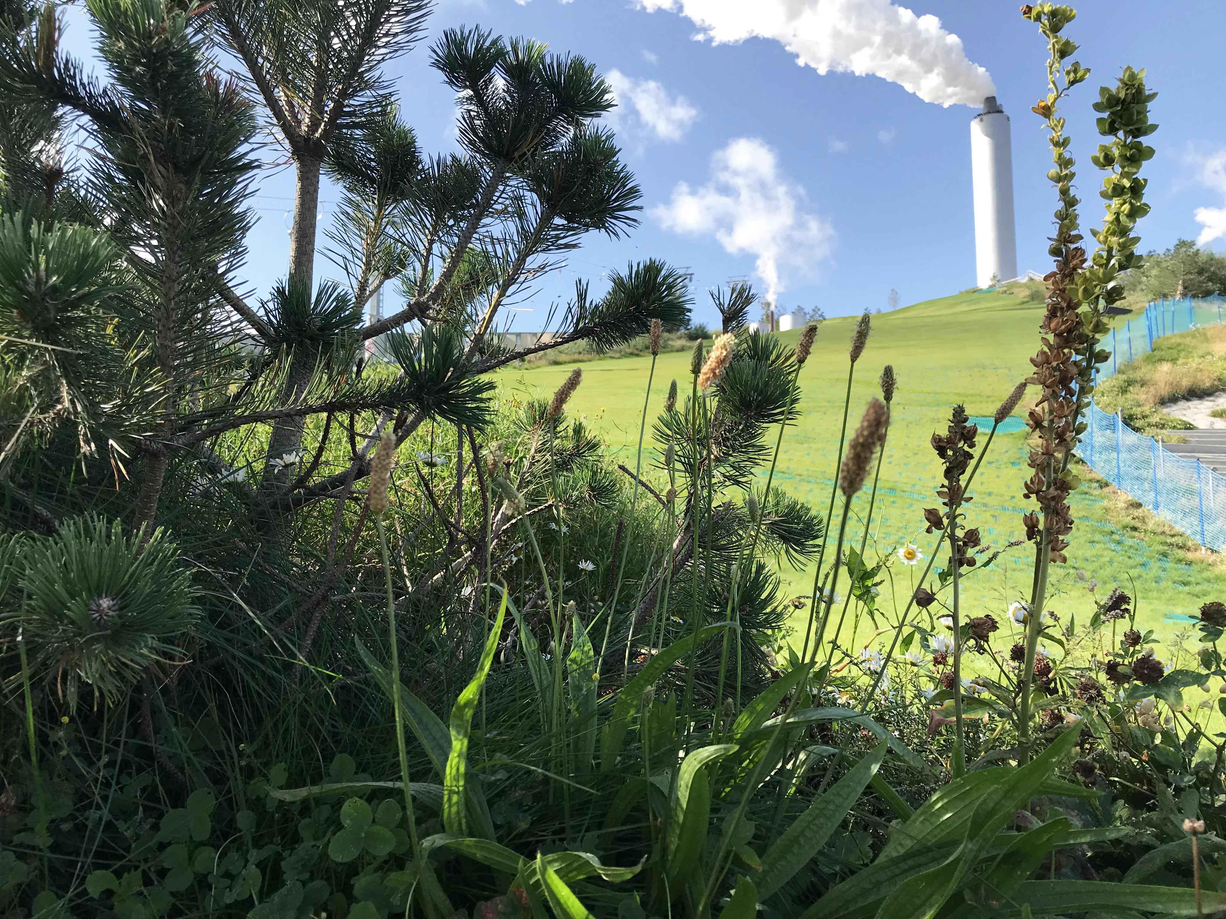 05_ARC_CopenHill_Image-by-SLA