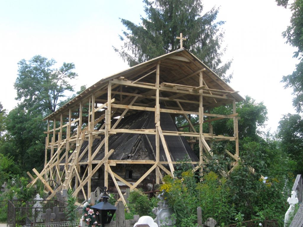 Intervenţia de urgenţă din 2010