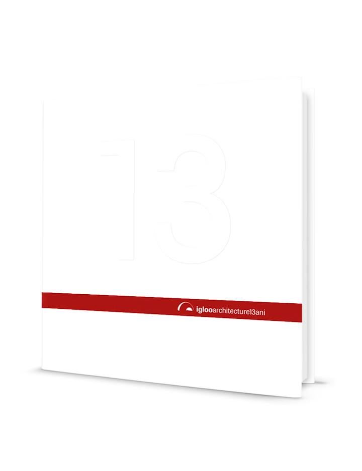 iglooarchitecture 13 ani