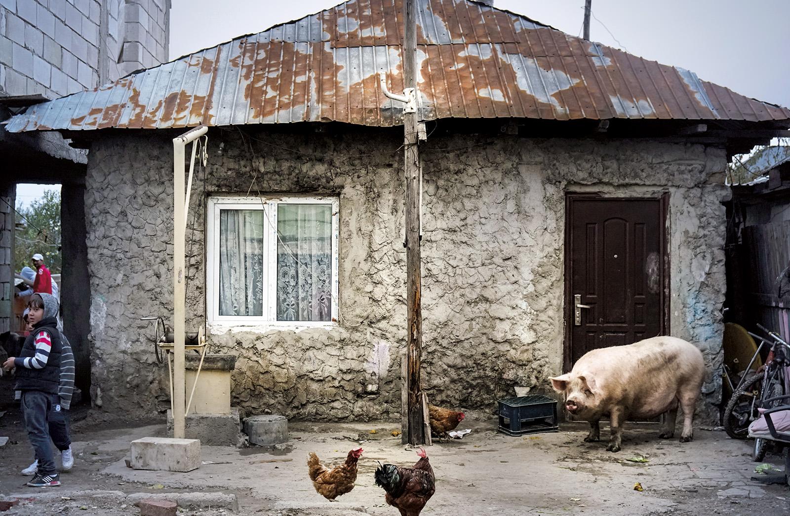 © Andrei Mărgulescu