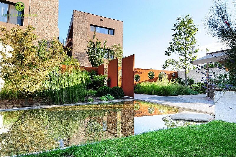 1435349209_luciu_de_apa