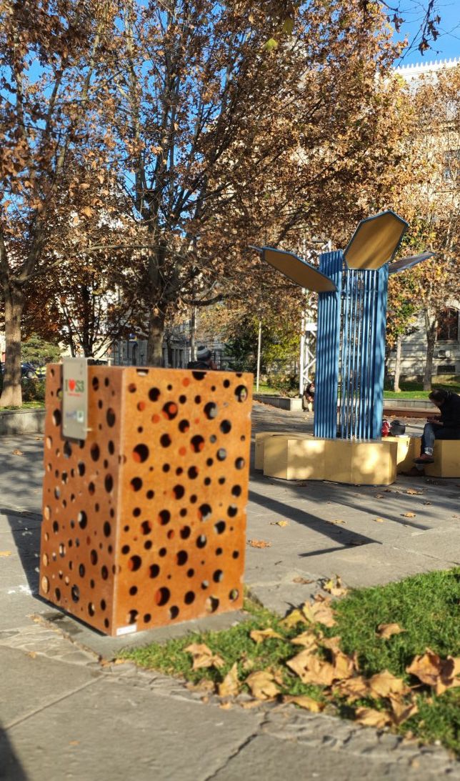 20211128_141659 (Medium)