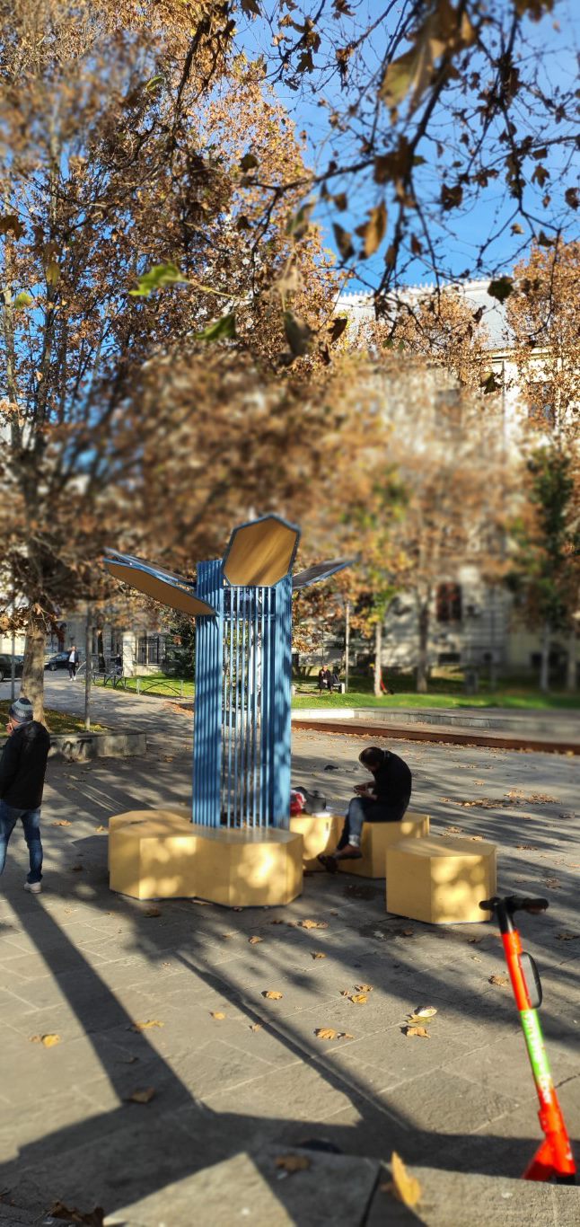 20211128_141741 (Medium)