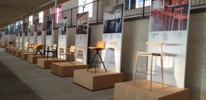 51638142_1672625729703588_72733428616790016_o