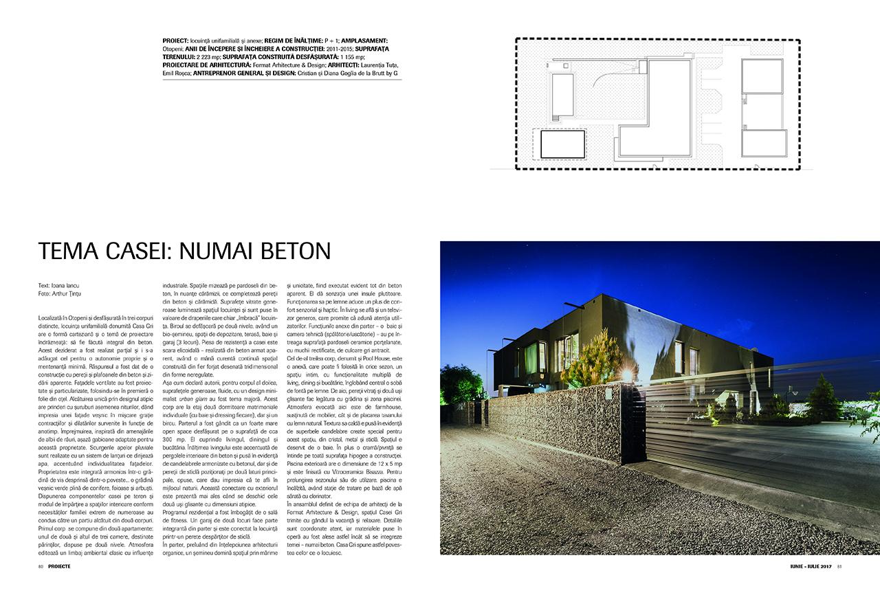 Locuință unifamilială și anexe, Format architecture & Design