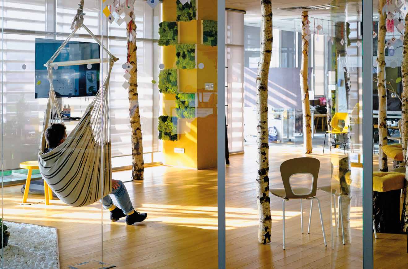 Betfair Romania Development Office | Morphoza