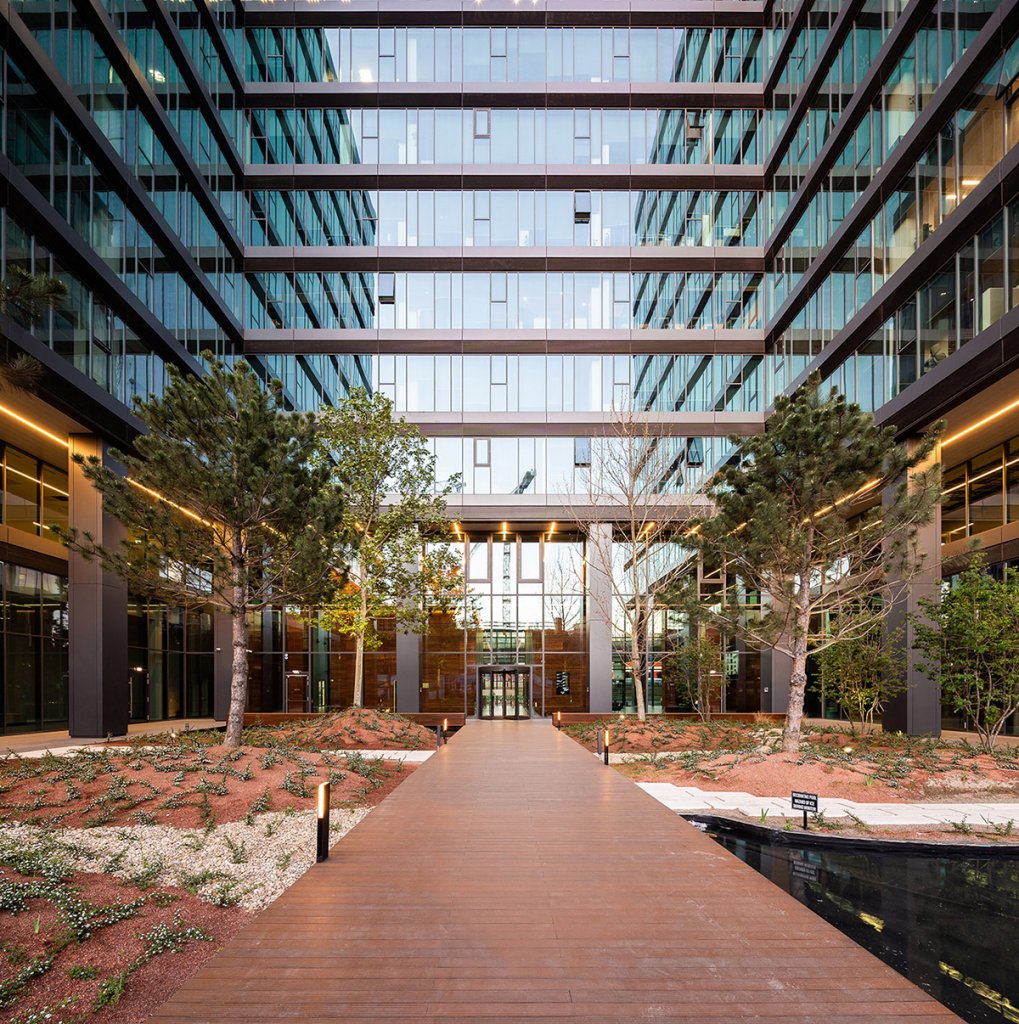 The_Bridge_vladpatru