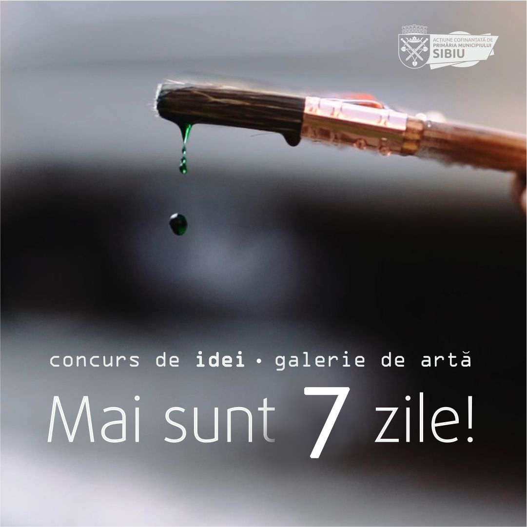 Banner ArtPoint 7 zile