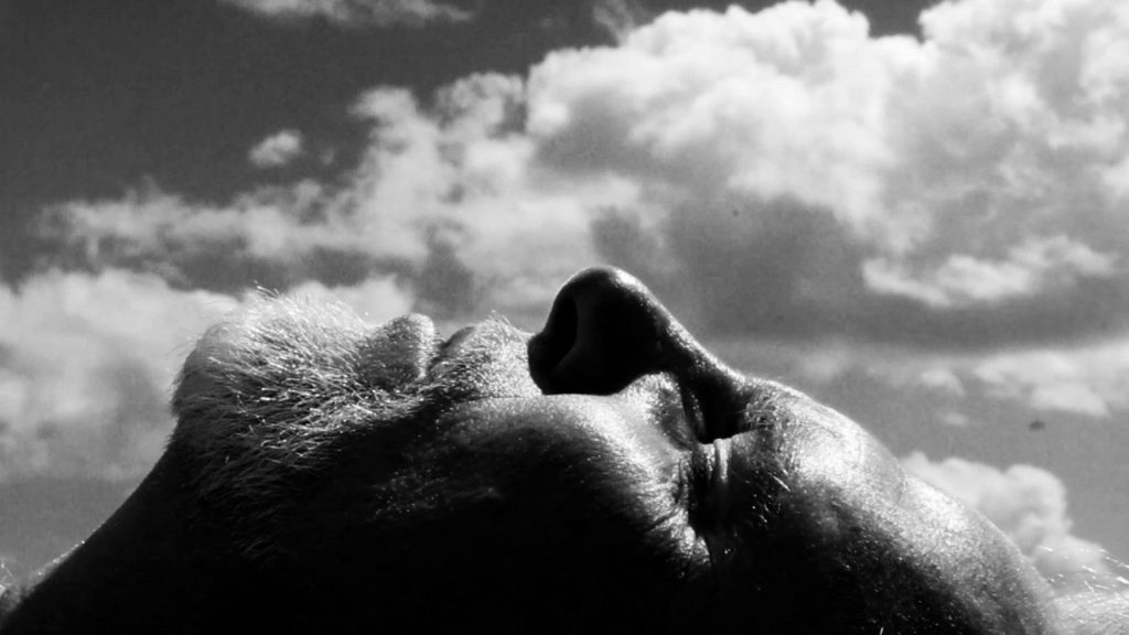 bring-me-the-head-of-tim-horton