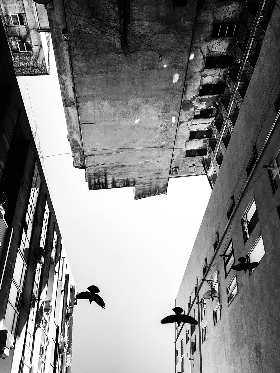 calea-victoriei-101-interior