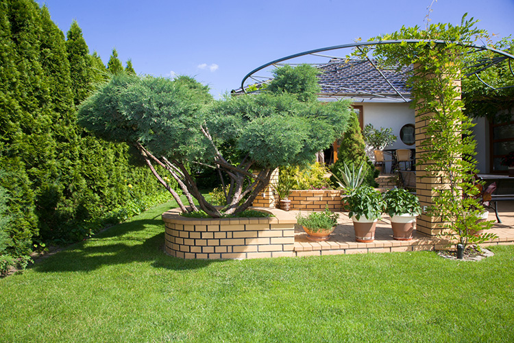 caramida-de-pavaj-brikston-galben-02