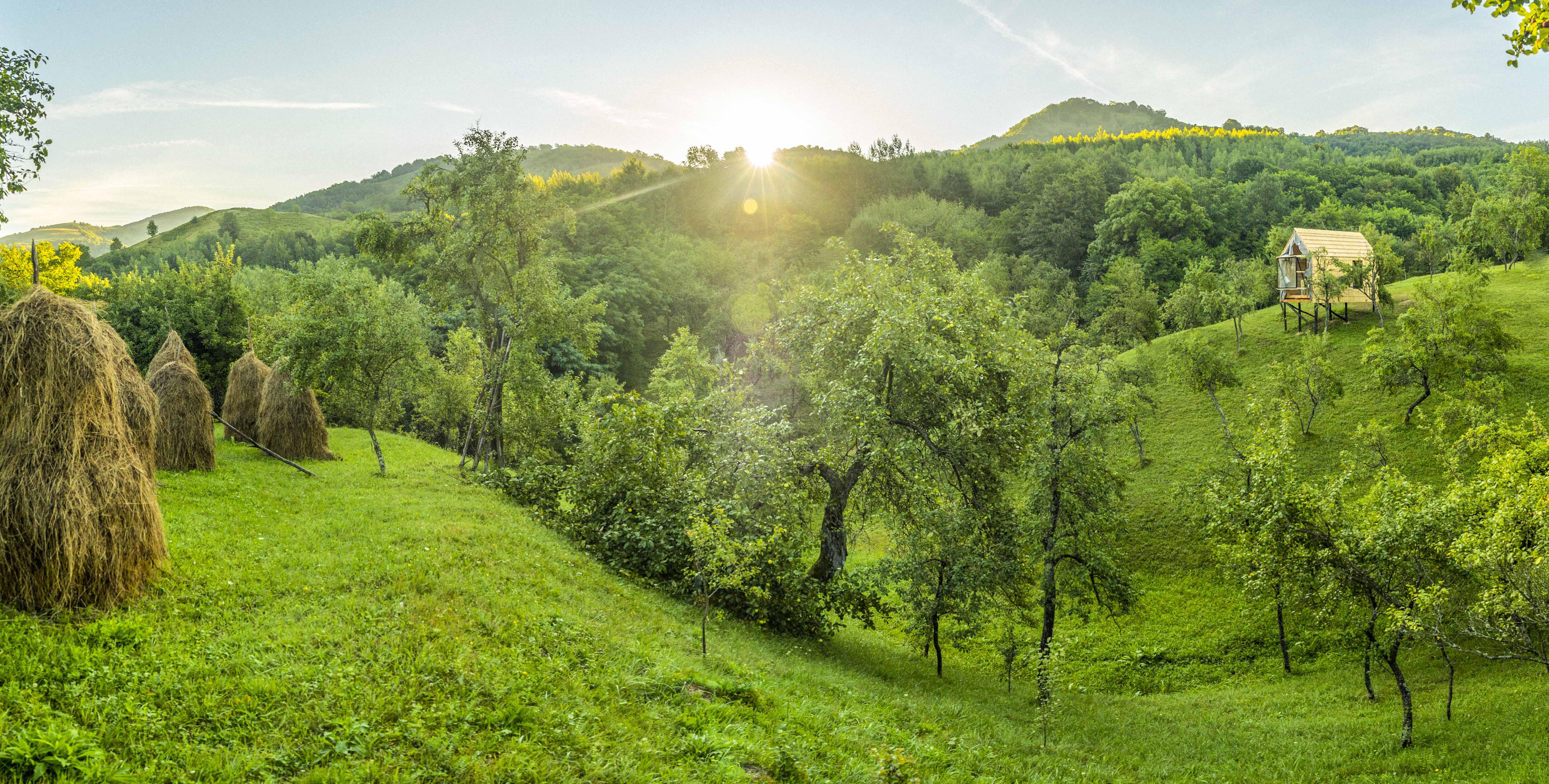 DSC08320-Pano_alt_© Razvan Dima