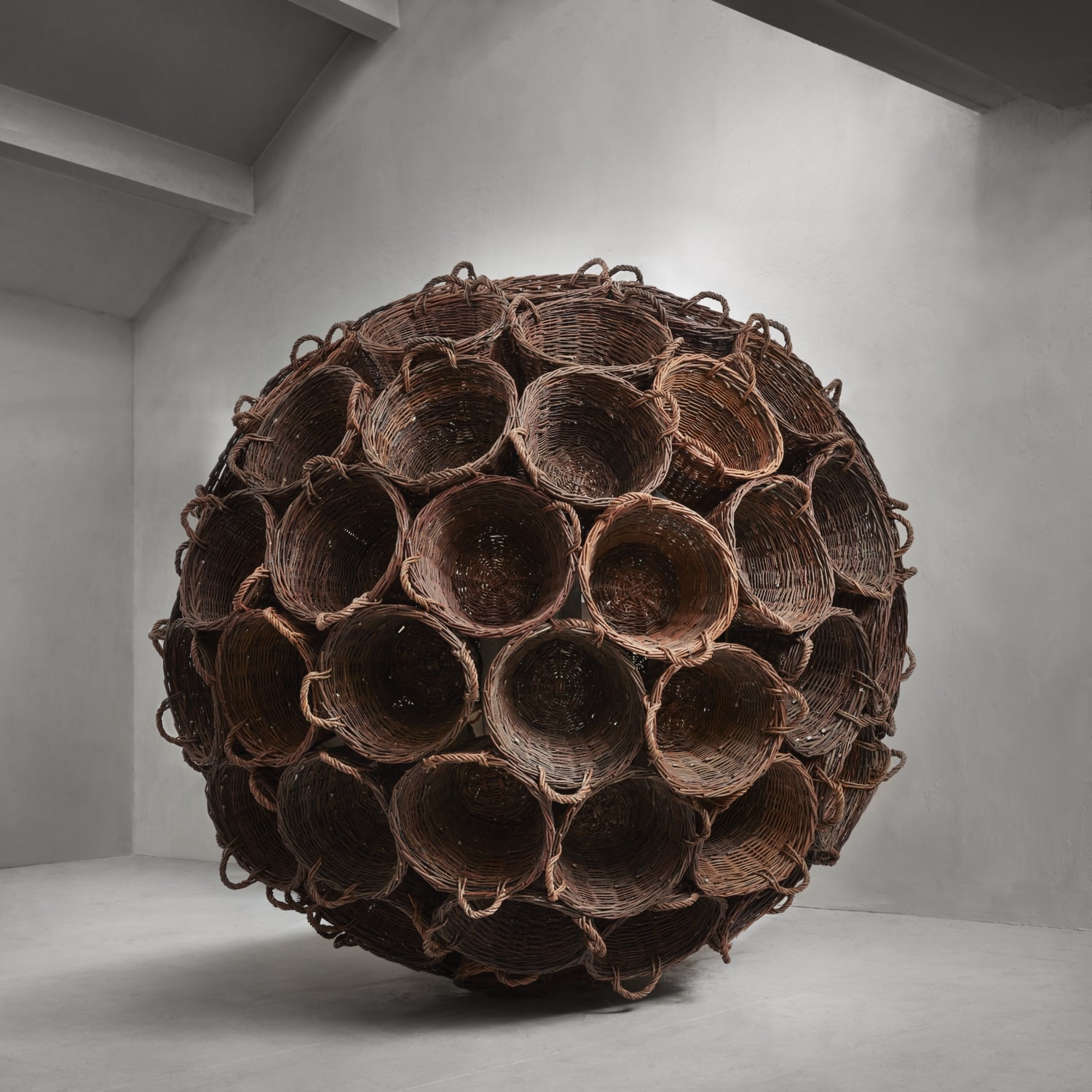 Dan Vezentan, Culegător