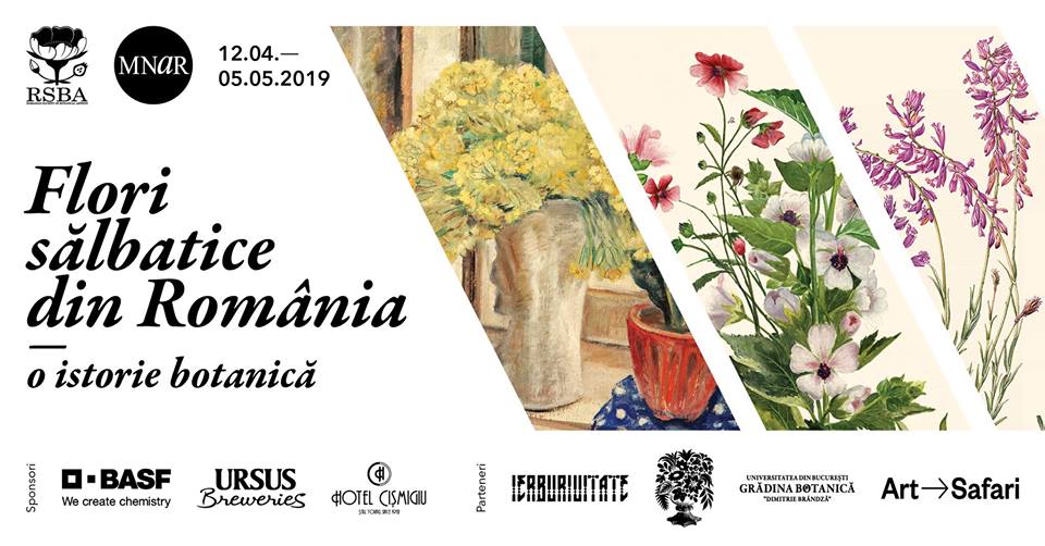 flori-salbatice_12-aprilie-2019