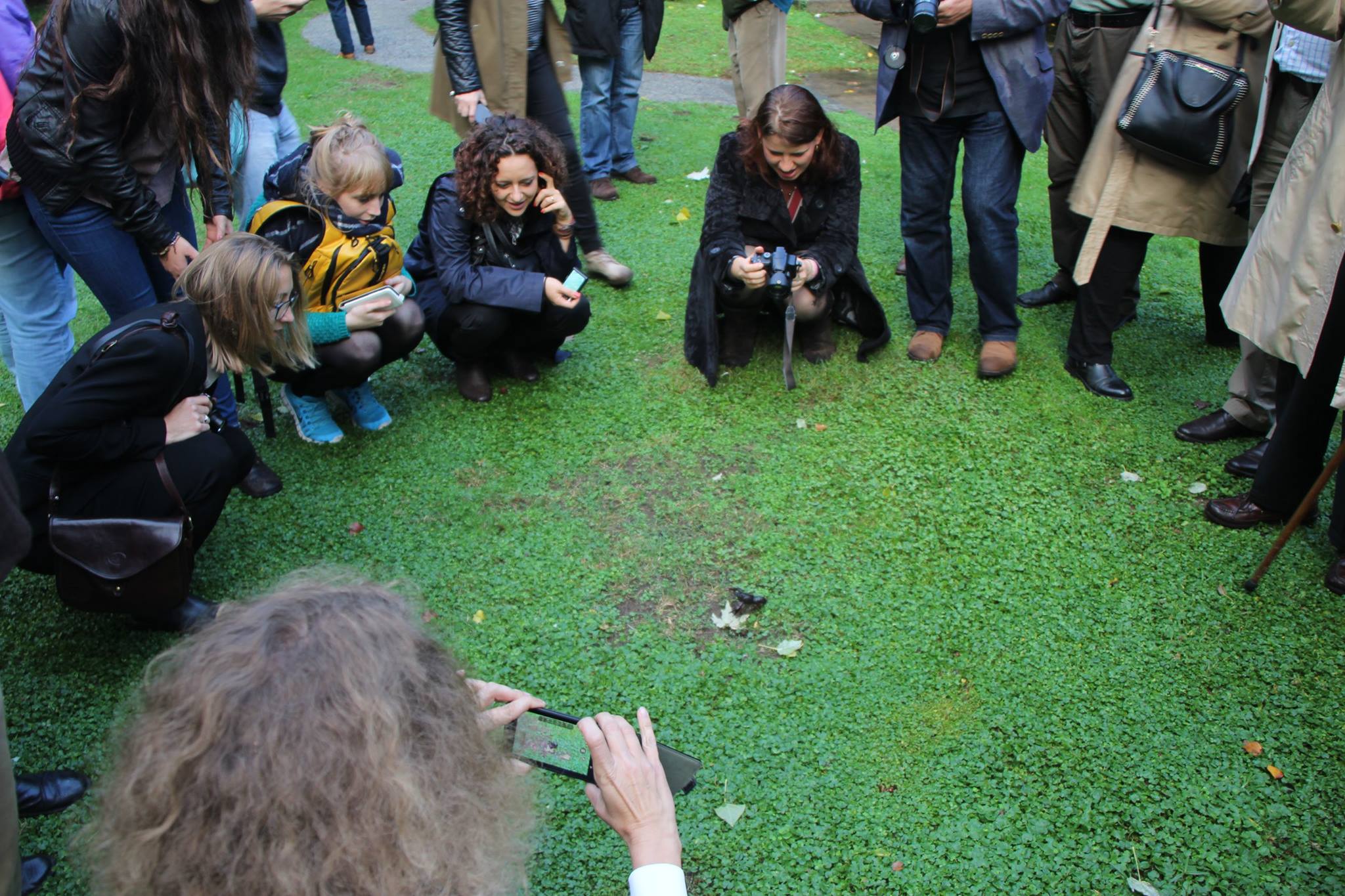 ifla-europe-2015-lisabona-vizita-calouste-gulbenkian-foundation
