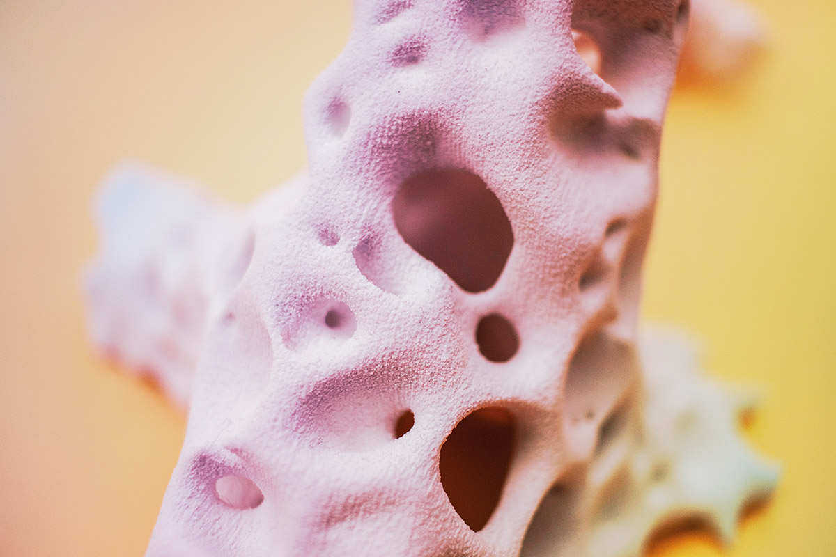 Structură osoasă imprimată 3D.