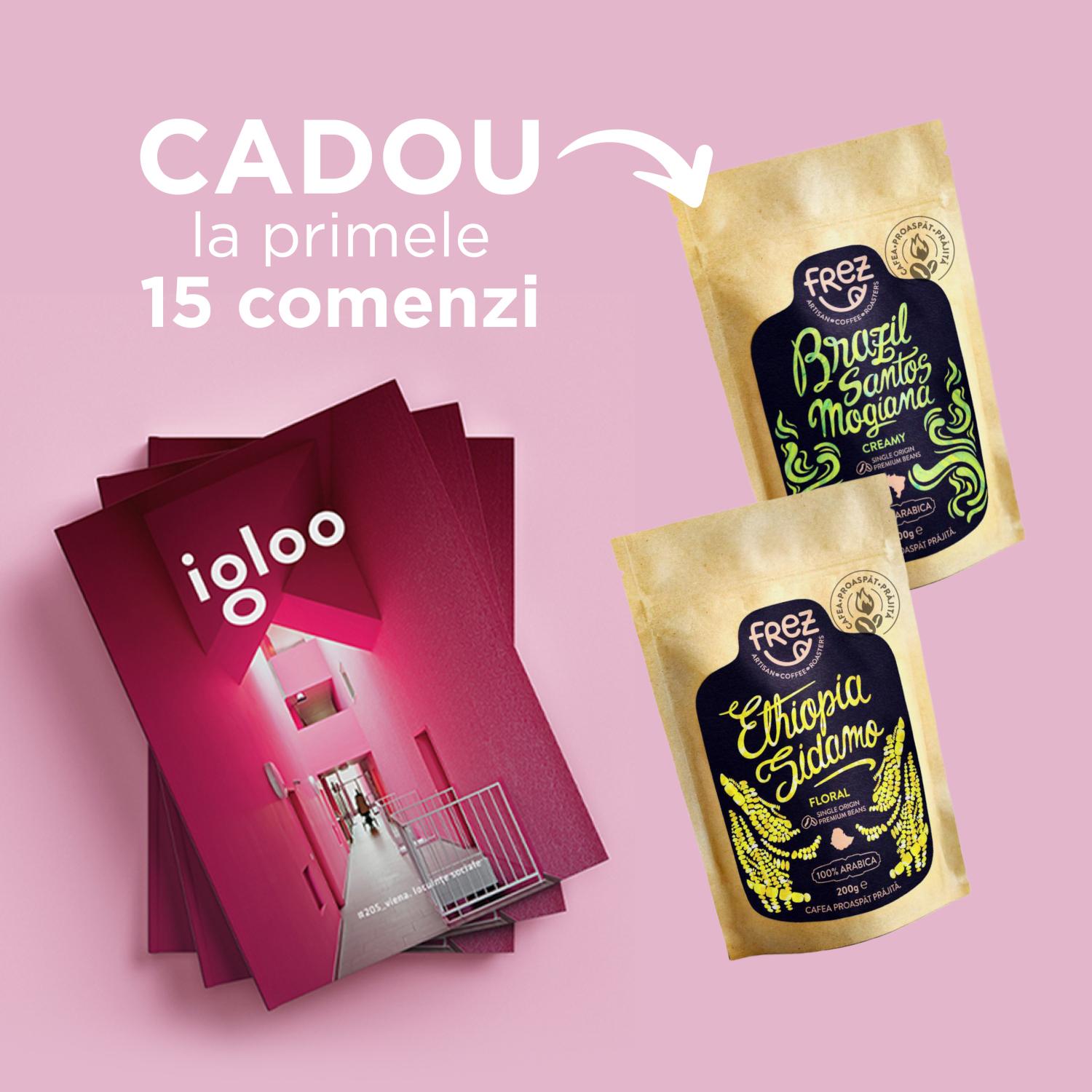 Instagram_igloo 205-mic