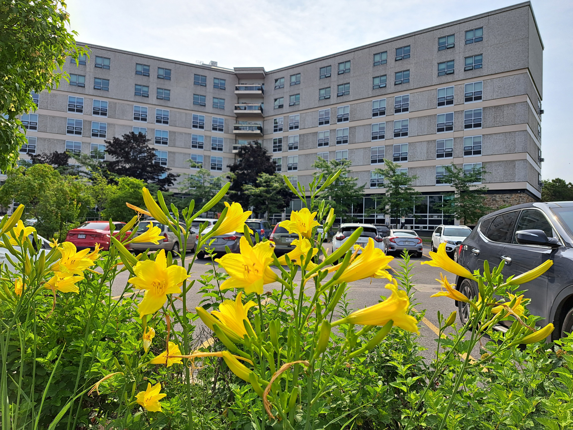 Centrul Geriatric Maimonides, Montreal