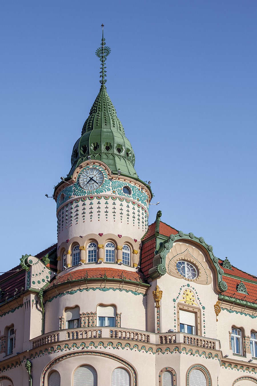 rs_oradea_vulturulnegru-8538