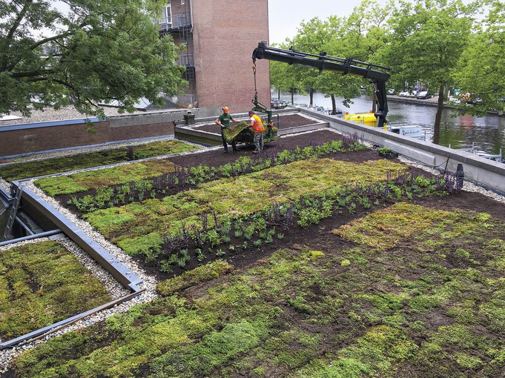 realized-through-crowdfunding