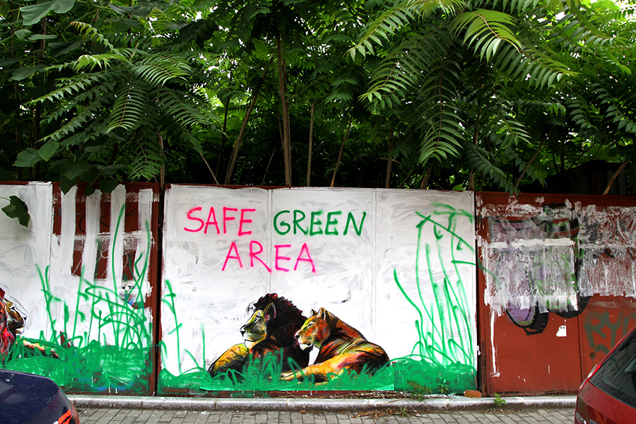 safe-green-area-by-mihai-zgondoiu