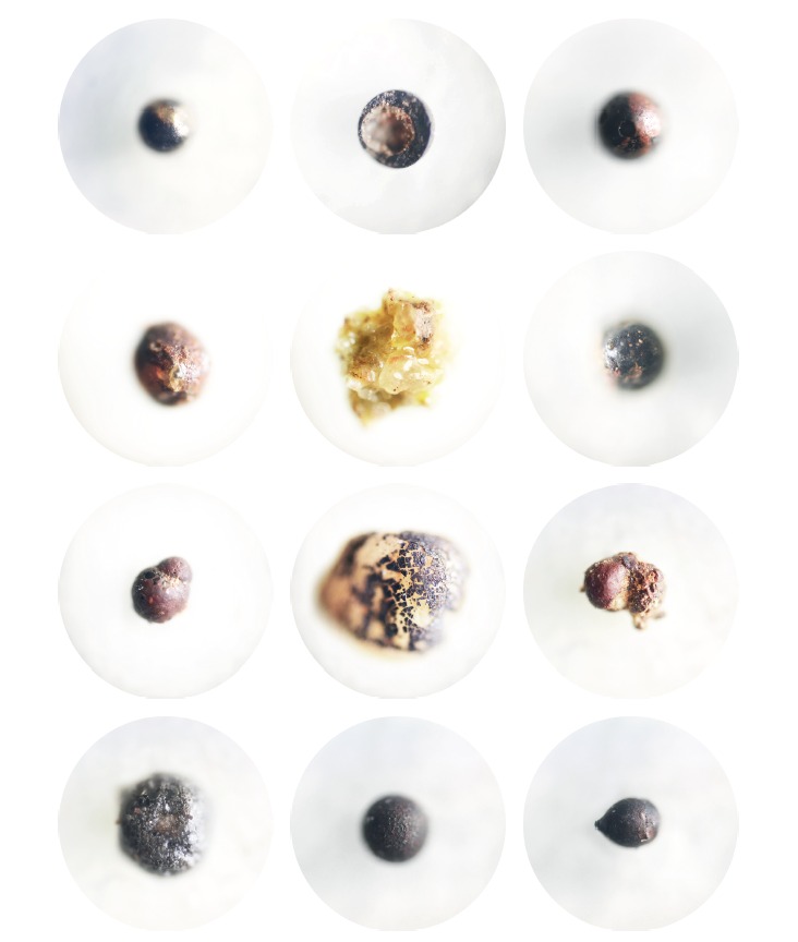 screen-shot-2018-04-16-at-1-55-03-pm