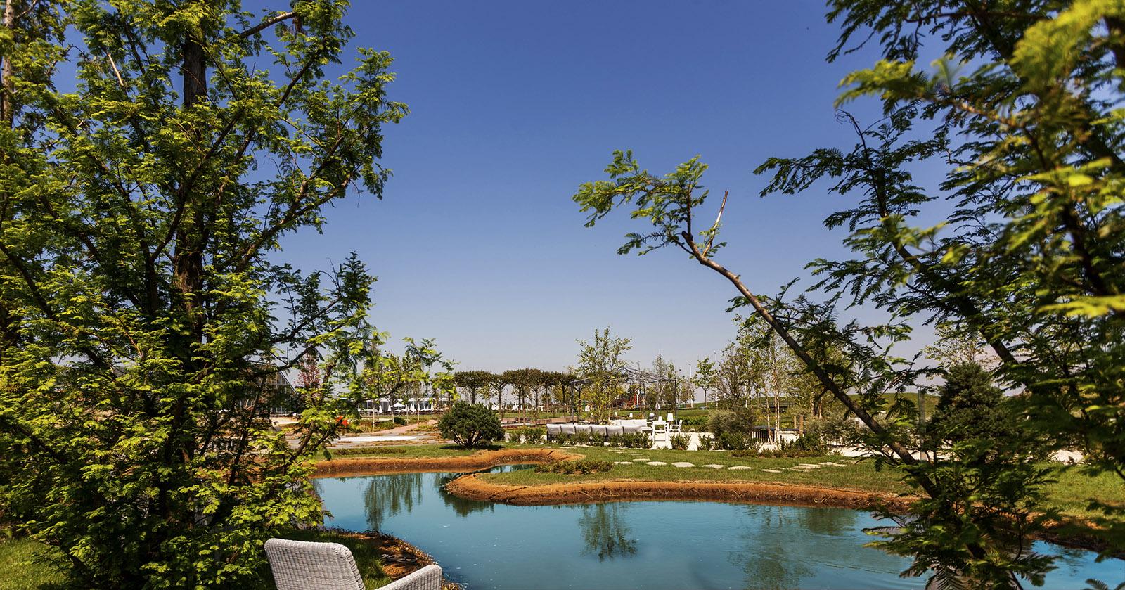 screen-shot-2018-08-09-at-15-02-402