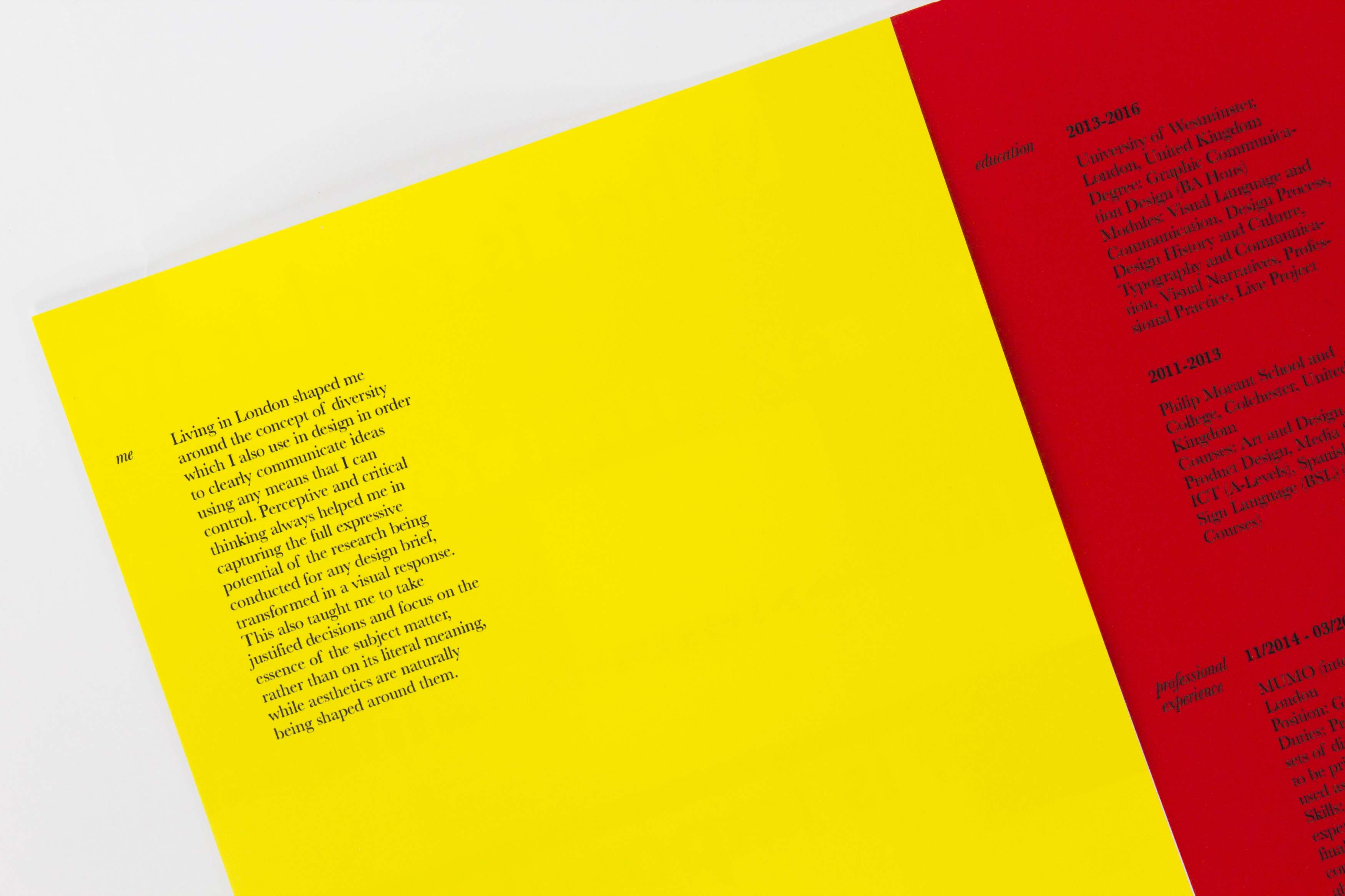 self-promotion-cv-design-2