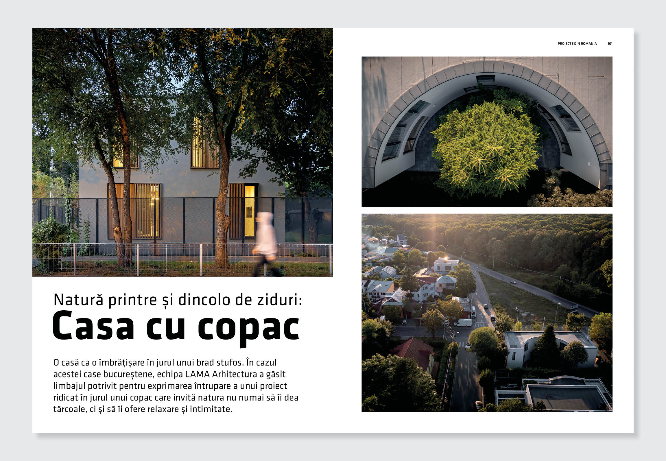 Spreaduri_Igloo204_ (6)