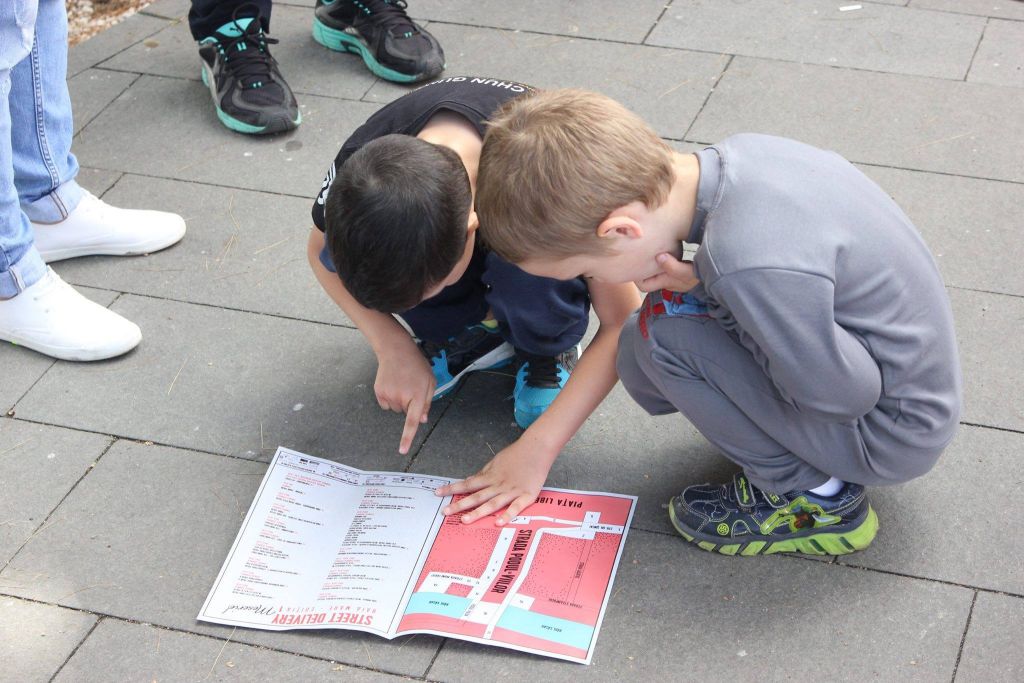 Street Delivery Baia Mare 2019