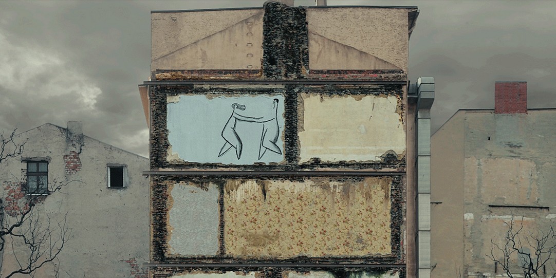 telefonul-anca-damian