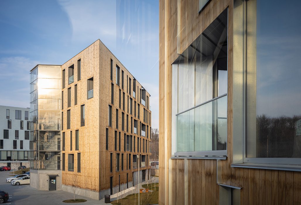 6 - LFG_007_IMG_5013_vladpatru