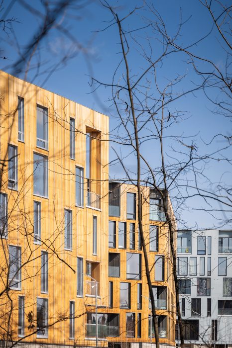 9 - LFG_001_IMG_4585_vladpatru