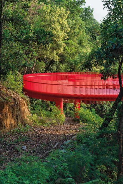 FSP 05_LOLA TALLER LCC - FSP elevated path