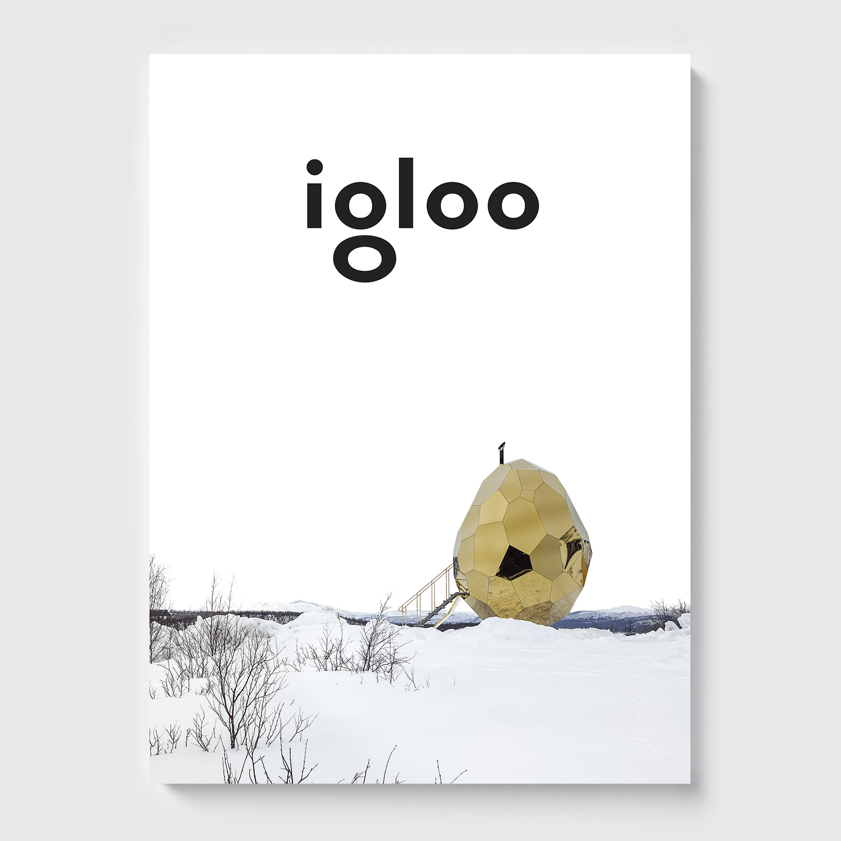 igloo_181-fundal-gri