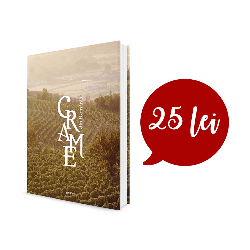 igloo_de_vacanta03_12-copy