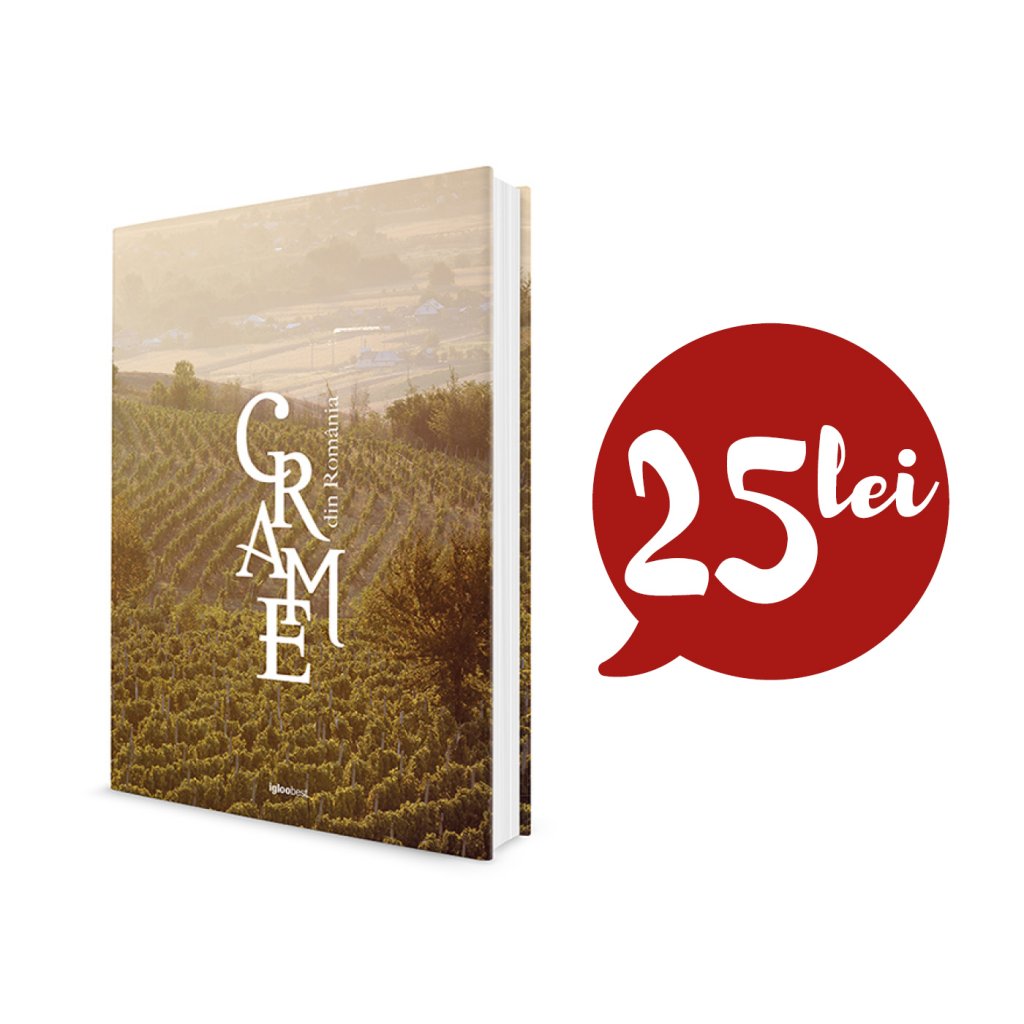 igloo_de_vacanta05_2