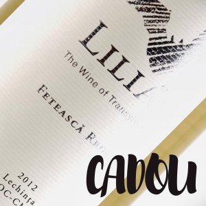 igloo_de_vacanta05_7