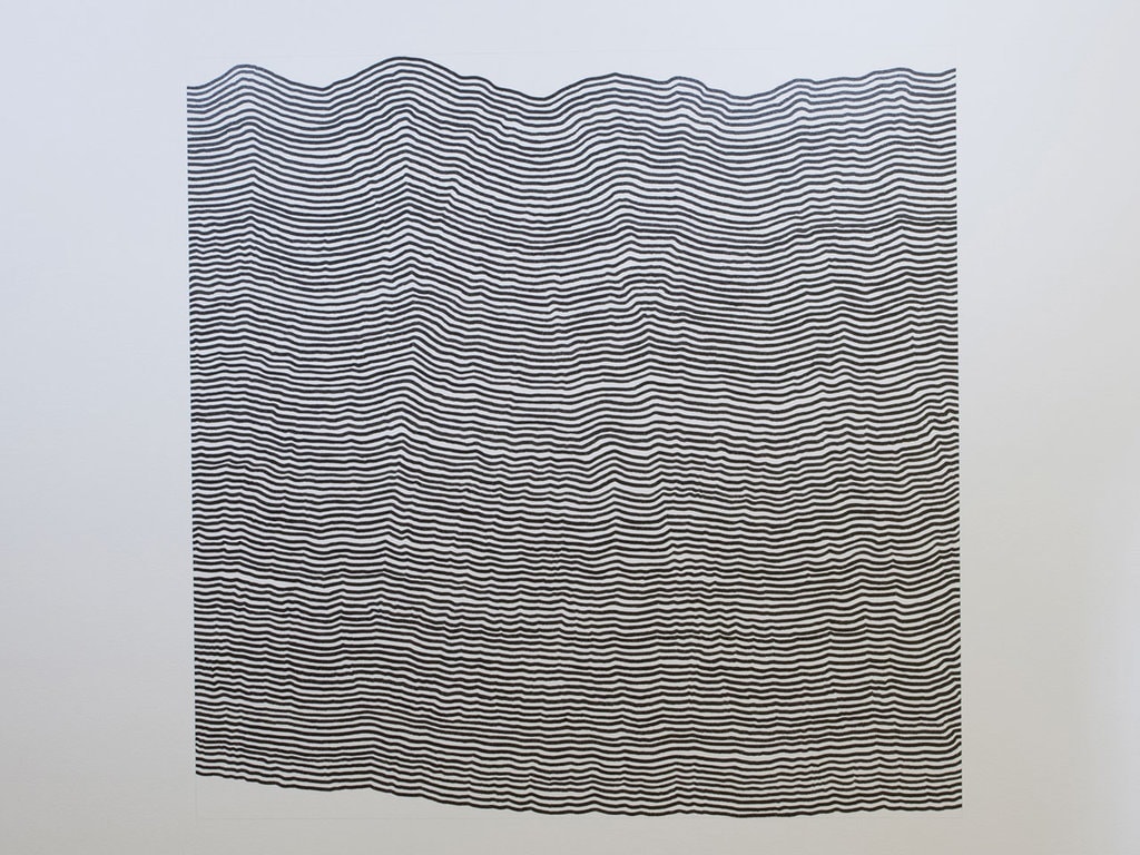 Arhitectura desenului