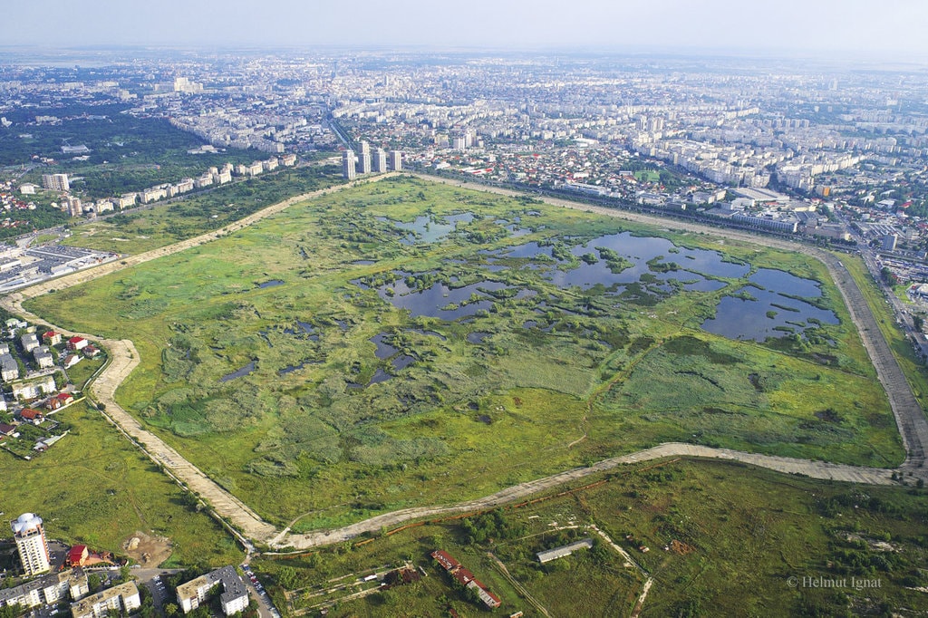 Igloo #139 - 140: Marsilia 2013