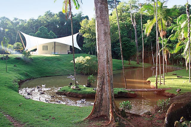 Igloo #150: Arhitecturi de vară