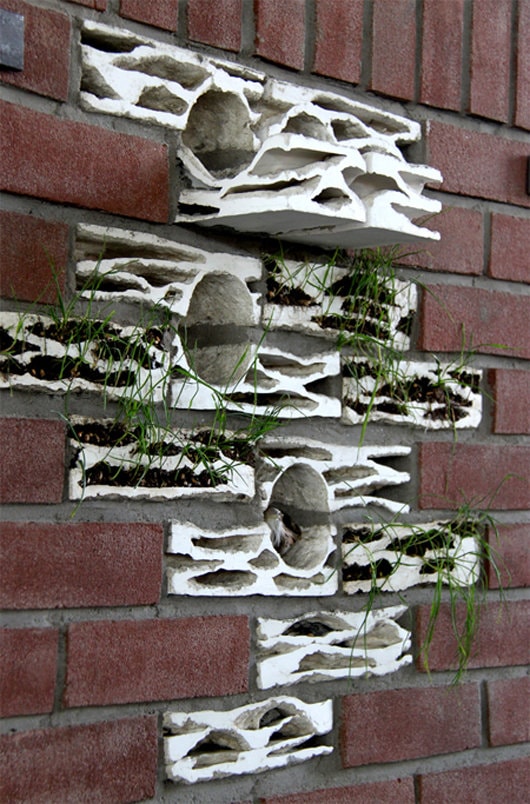 Cărămizile care dau viaţă zidurilor obişnuite