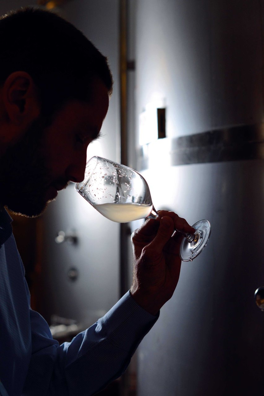 Catleya, de la Proust la Bibescu