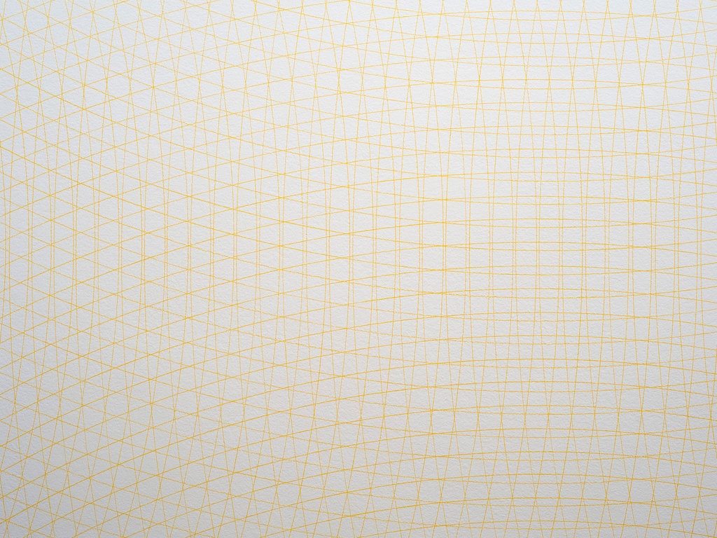 Arhitectura desenului