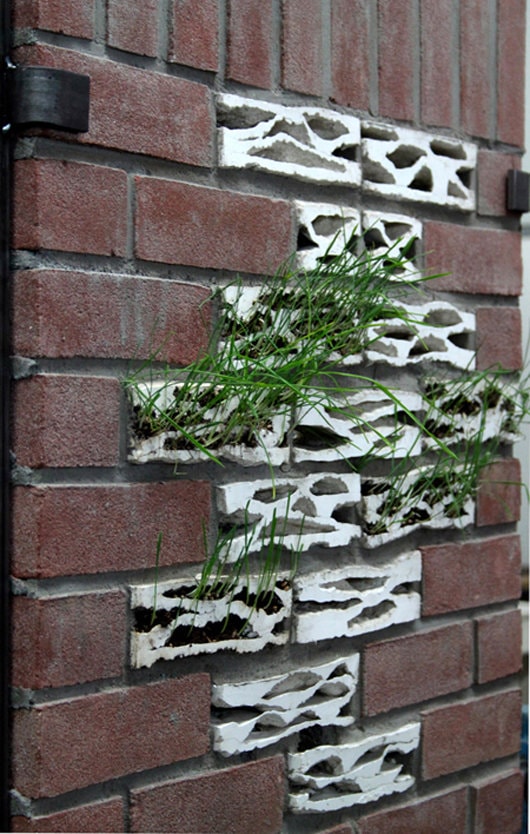 Cărămizile care dau viaţă zidurilor obişnuite