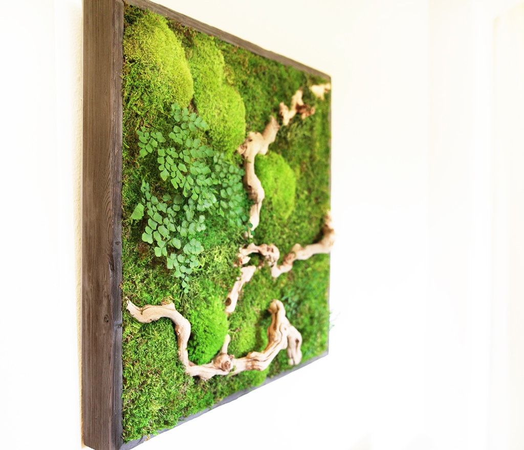 Igloo #159: Arhitecturi verzi