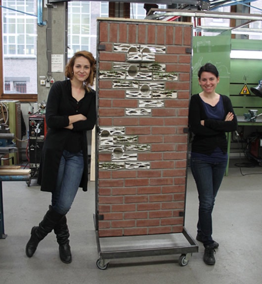 Cărămizile care dau viaţă zidurilor obişnuite