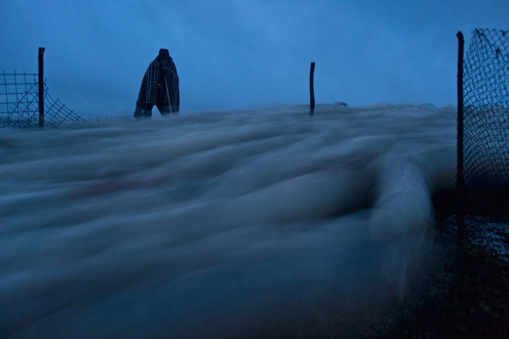 Dragoş Lumpan. Despre „Ultima Transhumanţă”