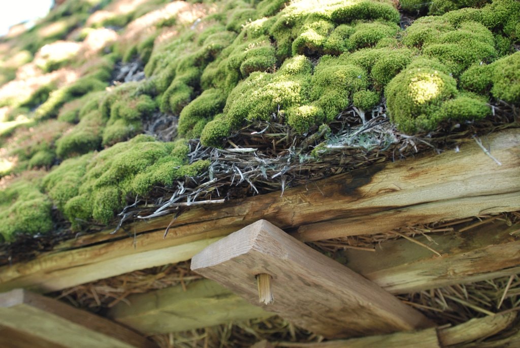 Casa cu şura de paie – între trecut şi viitor